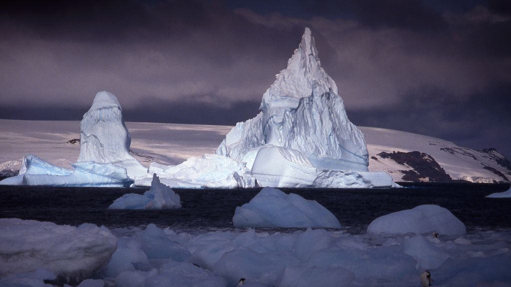 Frozen Antarctic marine landscape with penguins