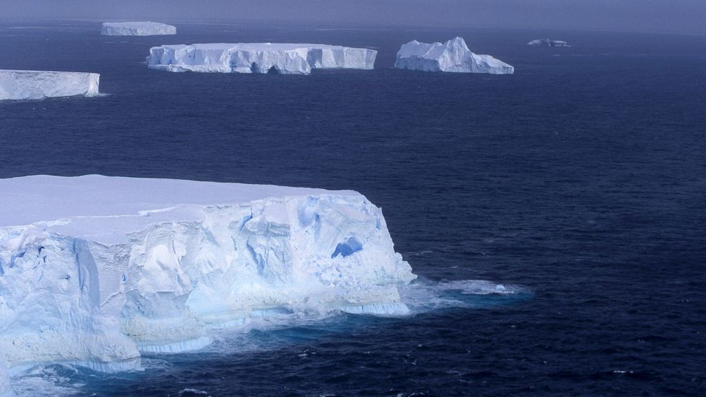 Massive make their way across the surface of the Southern Ocean