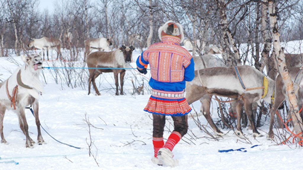 Sámi reindeer herder - © EALAT.org / Inger Marie Gaup Eira