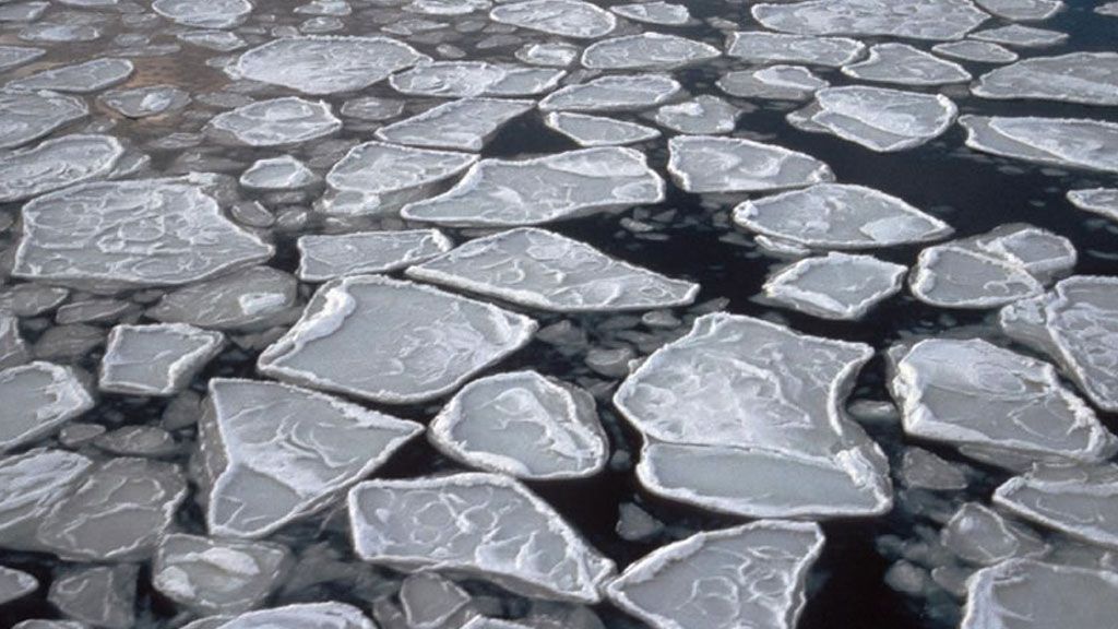 Pancake Ice in the Southern Ocean - © British Antarctica Survey