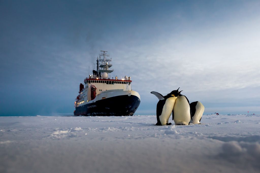 The Alfred Wegener Institute's research vessel, Polarstern, encounters some penguins while on mission in Antarctica. - © Alfred-Wegener-Institut/Mario Hoppmann