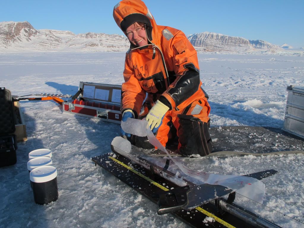 Agneta Fransson taking samples in the field. - © Agneta Fransson, Norwegian Polar Institute
