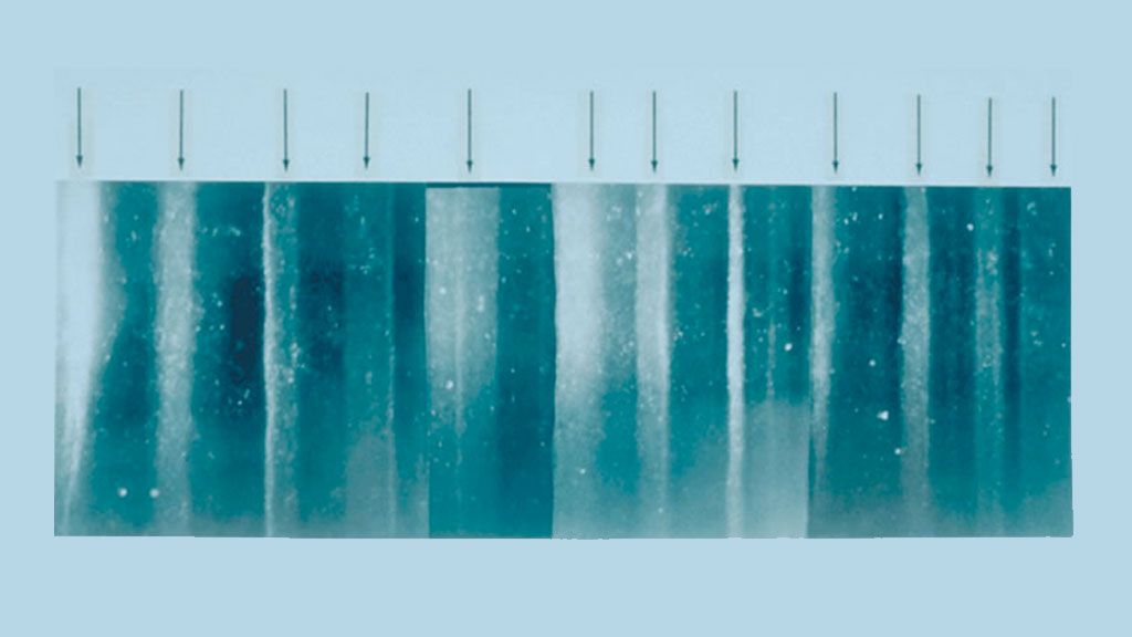 Section of ice core - © NICL