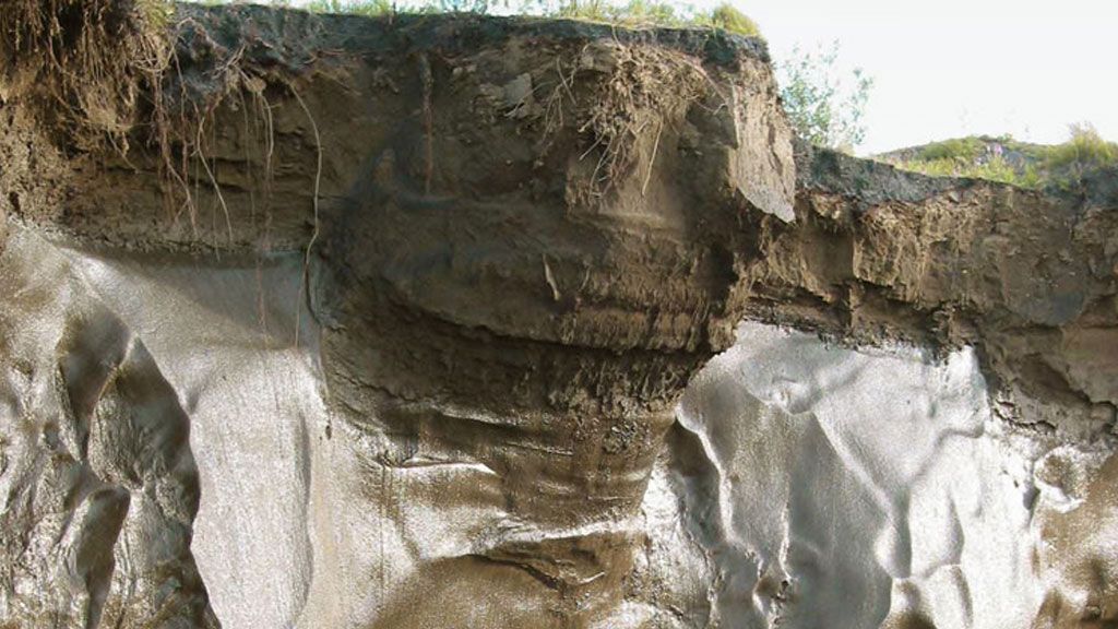 Cross-section of soil in the Arctic