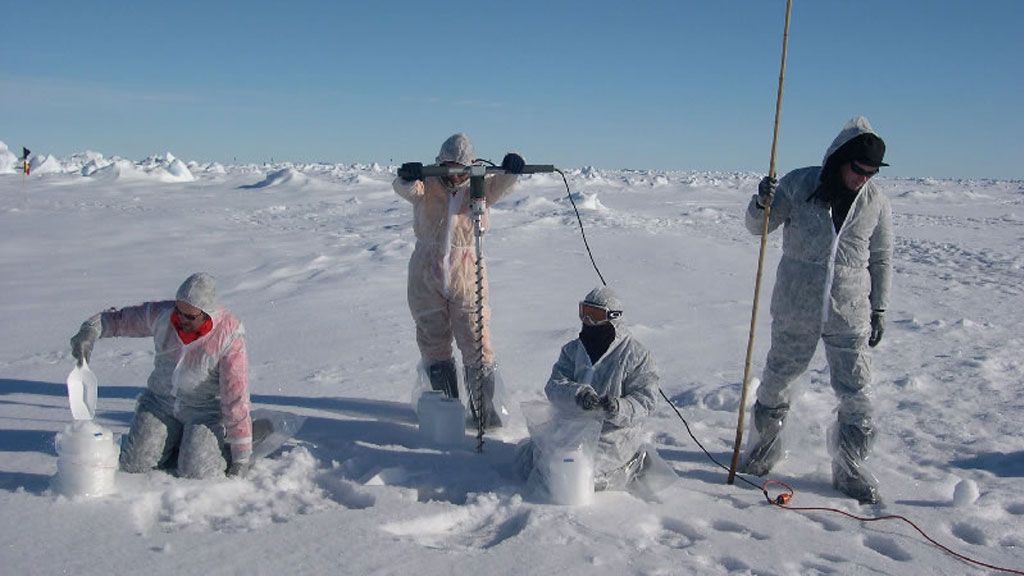 Sampling Antarctic pack ice in trace metal clean conditions