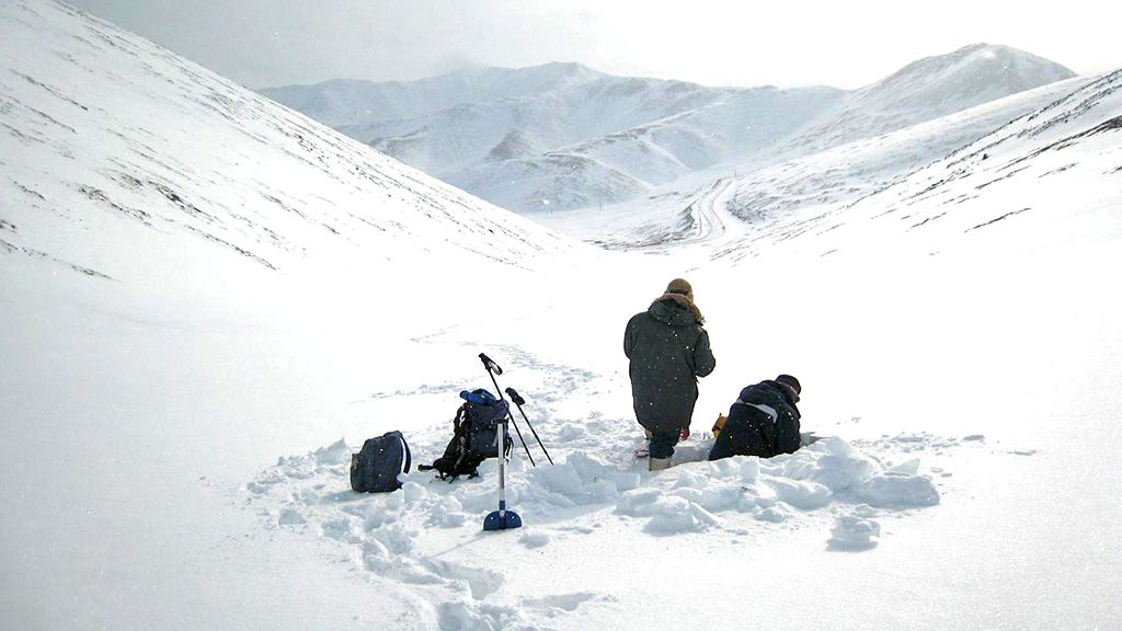 Grenfell & Kogan sampling north of Bilibino - © Stephen Warren