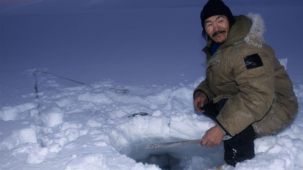 Seal hunter - © Rémy Marion