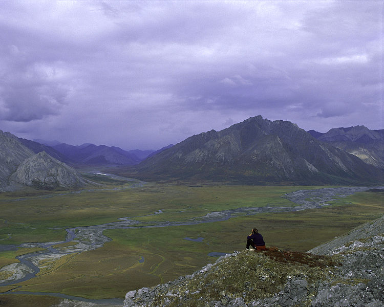 The Arctic LTER project: Arctic tundra ecosystem research - SciencePoles:  polar science magazine